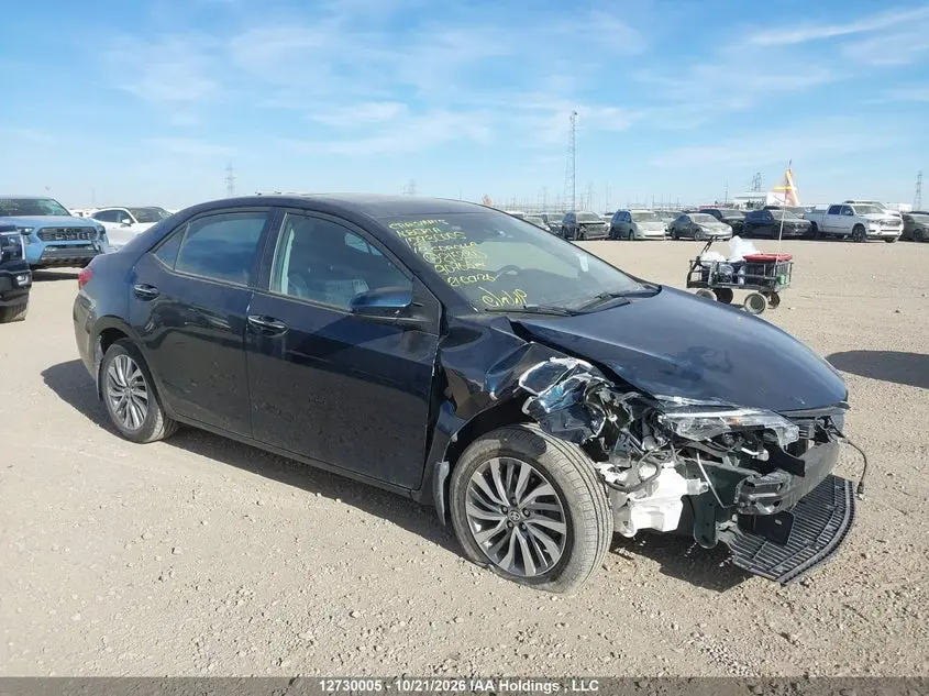 Toyota Corolla L/Le/Xle/Se/Xse 2019