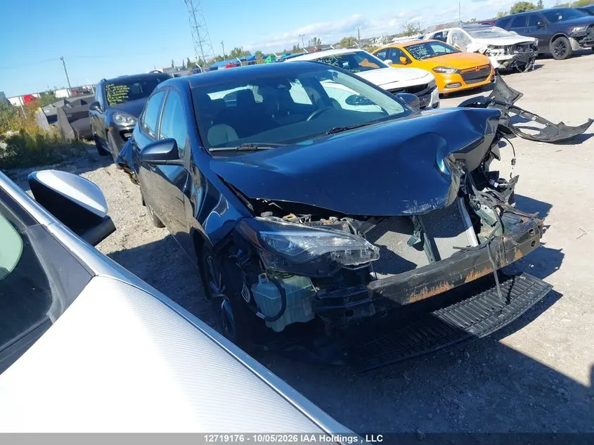 Toyota Corolla L/Le/Xle/Se/Xse 2019
