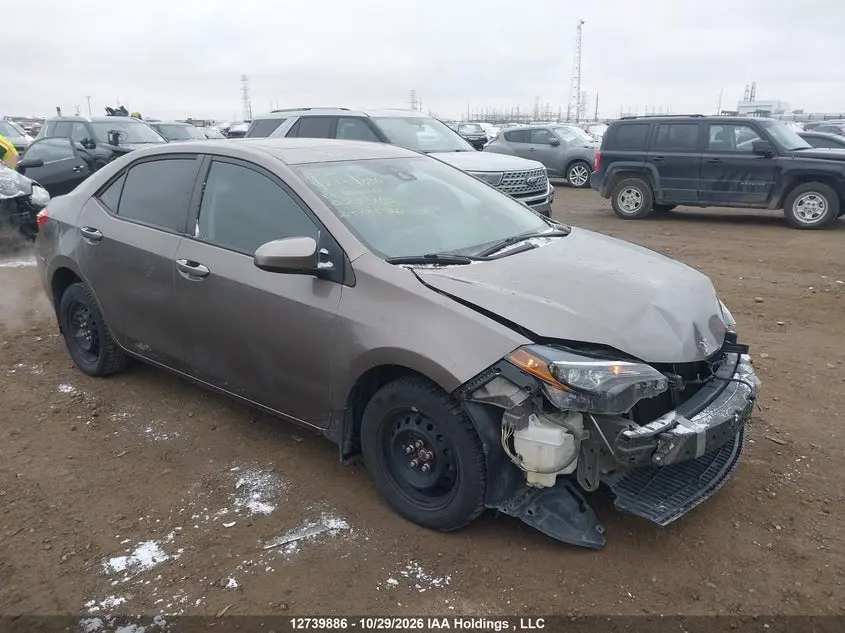Toyota Corolla L/Le/Xle/Se/Xse 2019