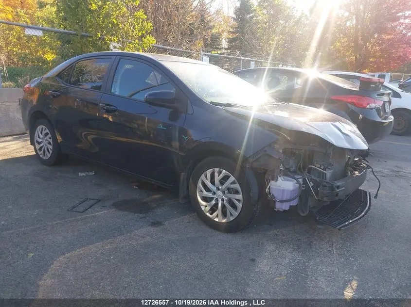 Toyota Corolla Le 2018