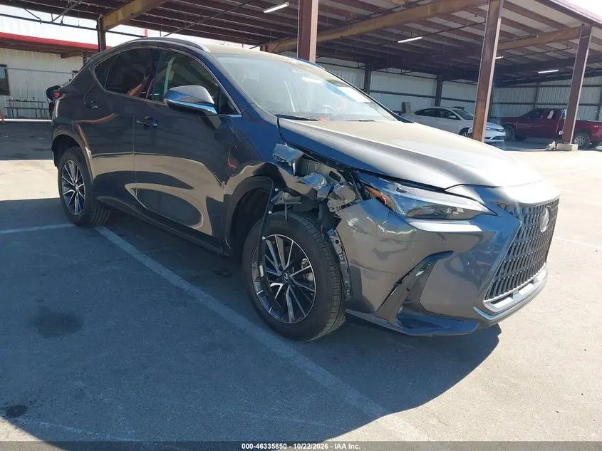 Lexus Nx 250 2025