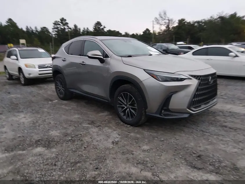 Lexus Nx 250 2024