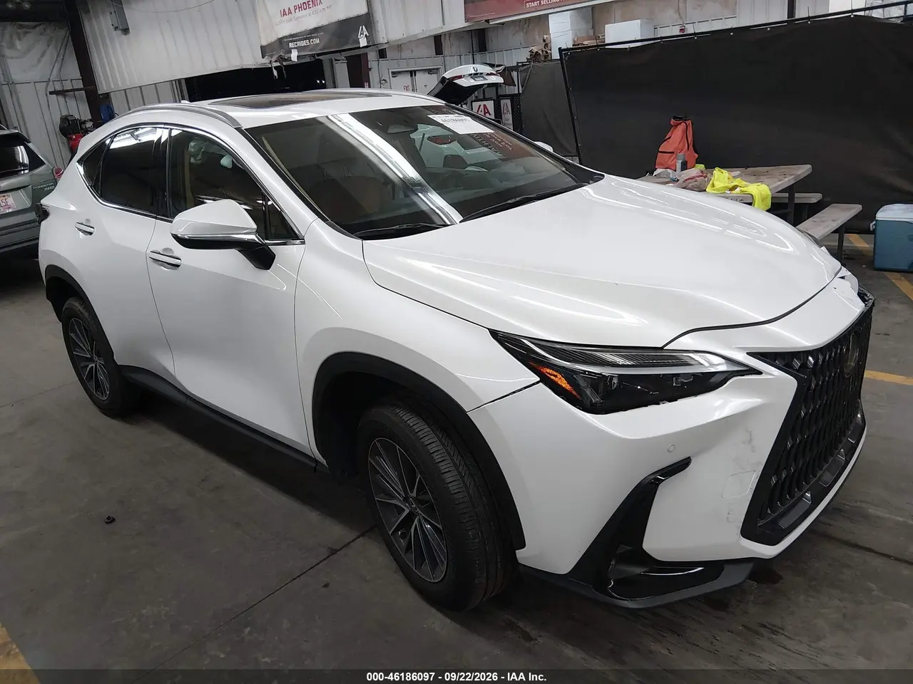 Lexus Nx 250 2025
