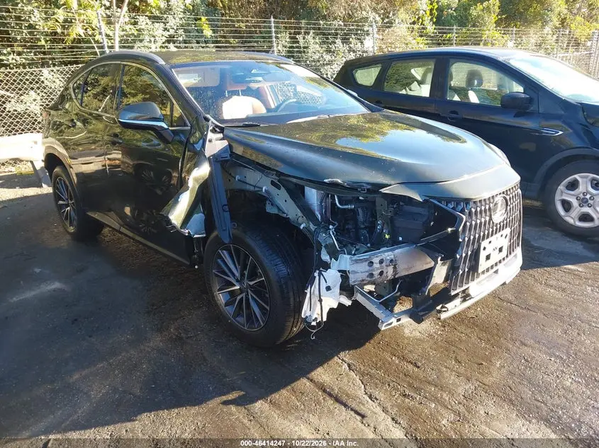 Lexus Nx 250 2024