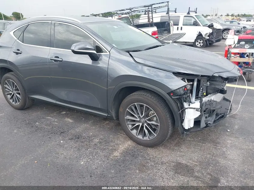 Lexus Nx 250 2025