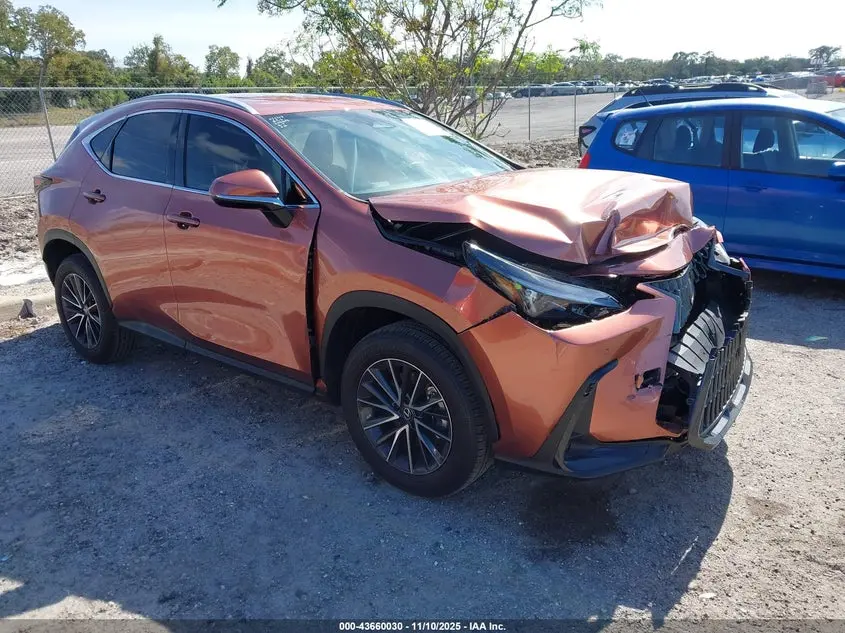 Lexus Nx 250 2025