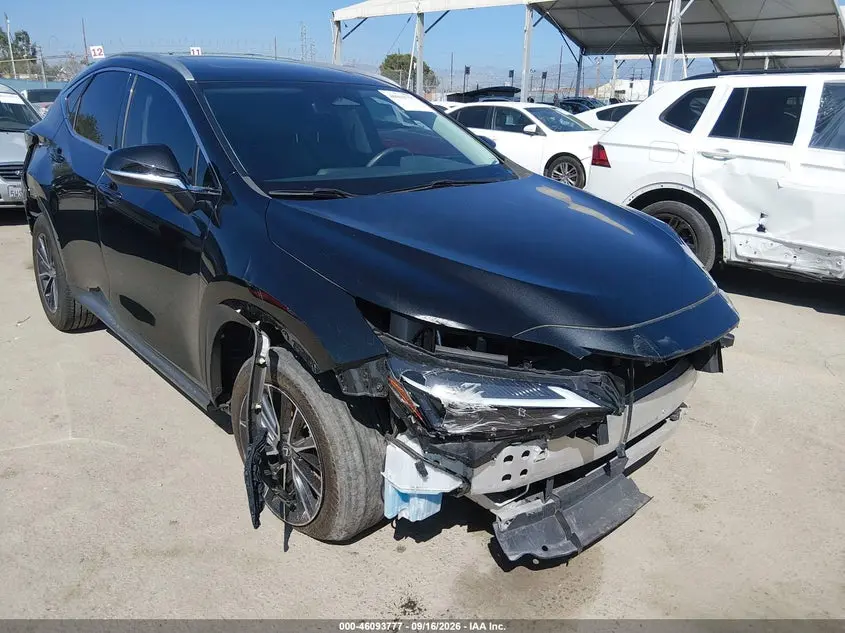 Lexus Nx 250 2024
