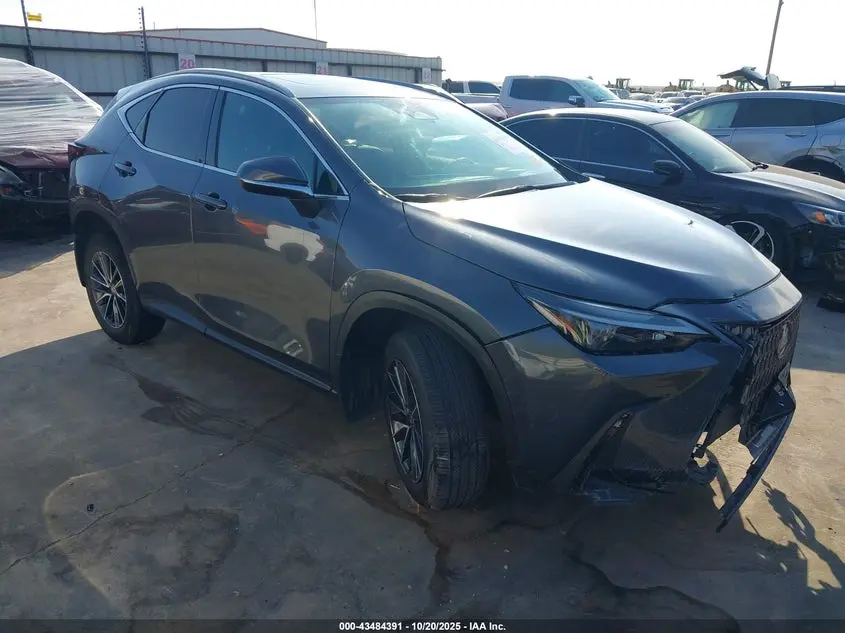 Lexus Nx 250 2024