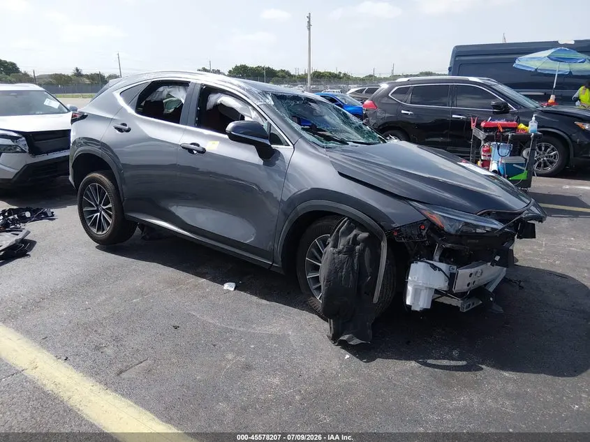 Lexus Nx 250 2025