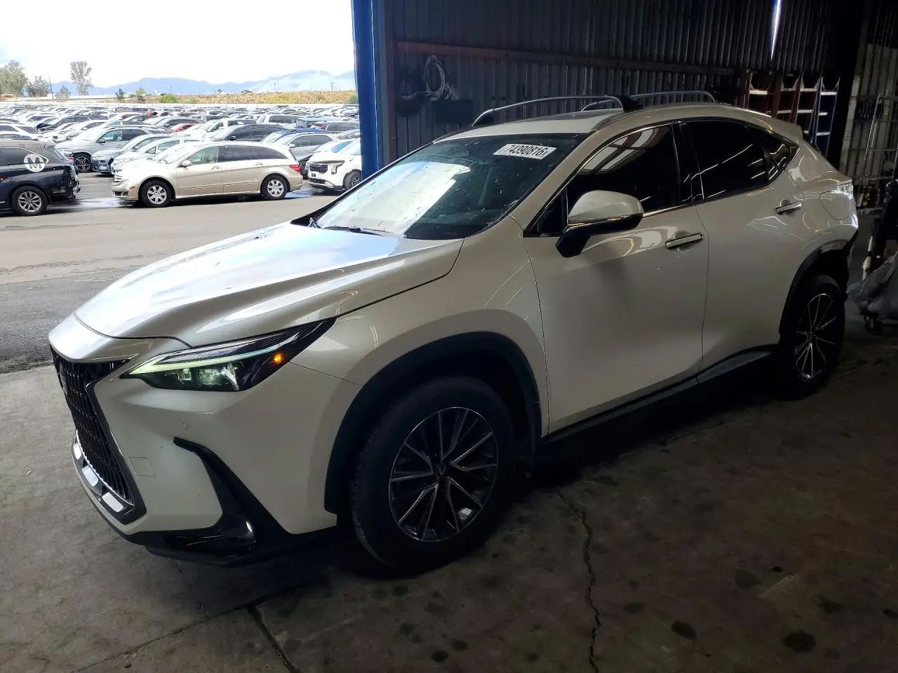 Lexus Nx 250 Base 2025