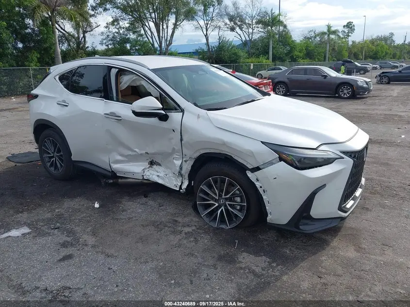 Lexus Nx 250 2025