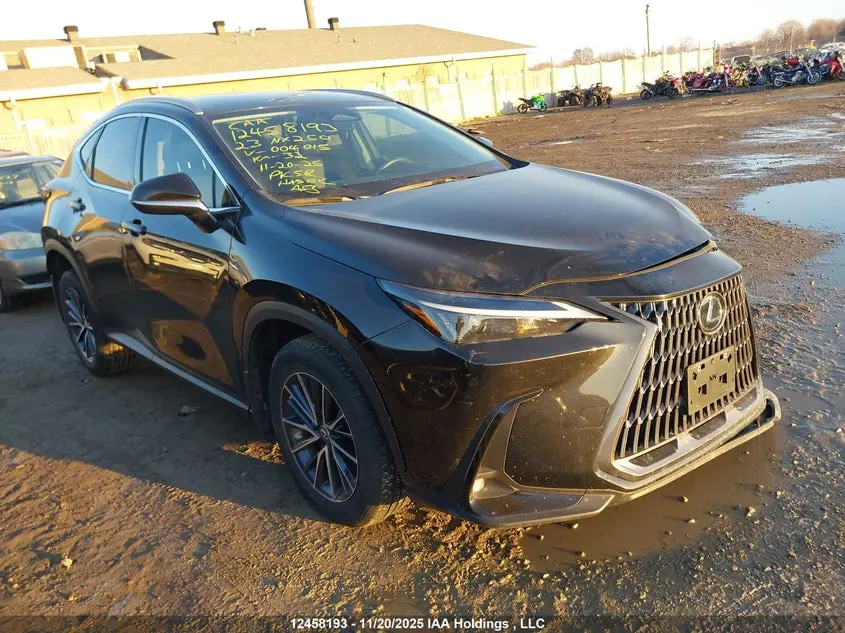 Lexus Nx 250 2023