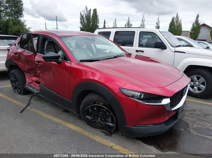 Lexus Nx 250 2022