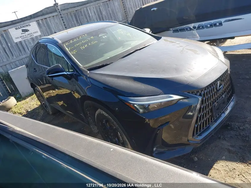 Lexus Nx 250 2025