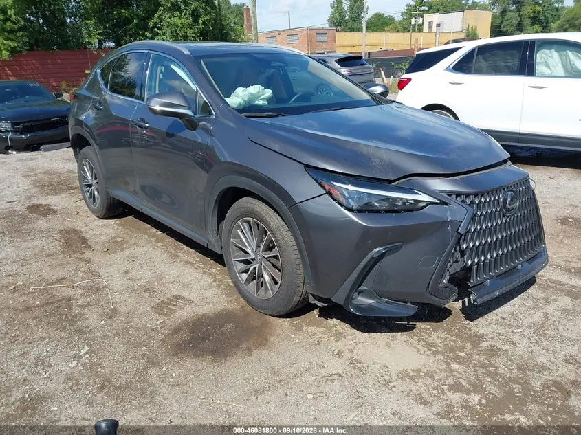 Lexus Nx 350 2025