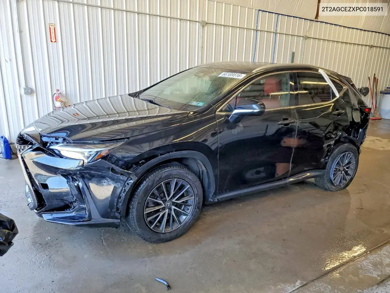 Lexus Nx 350 2023