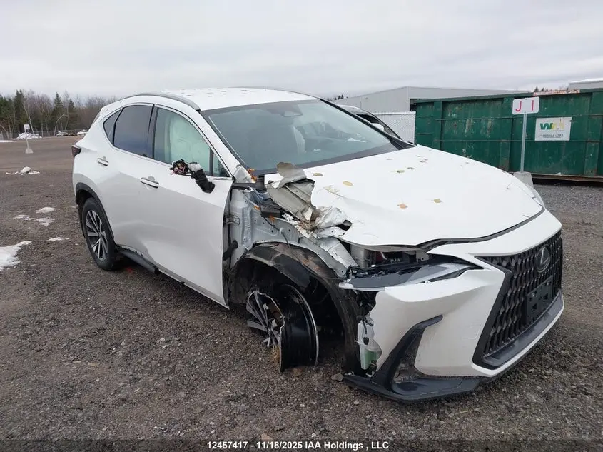 Lexus Nx 350H 350H 2022