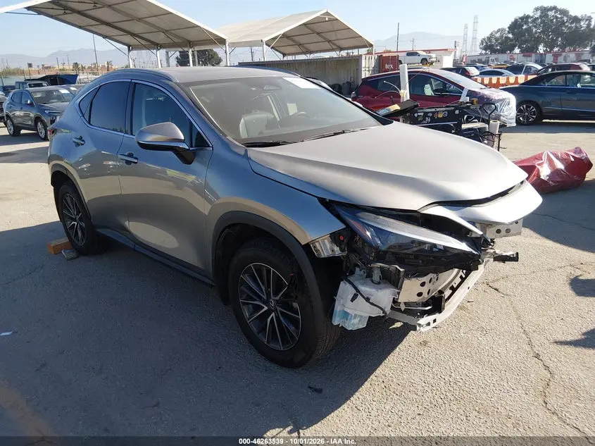 Lexus Nx 350H 2024
