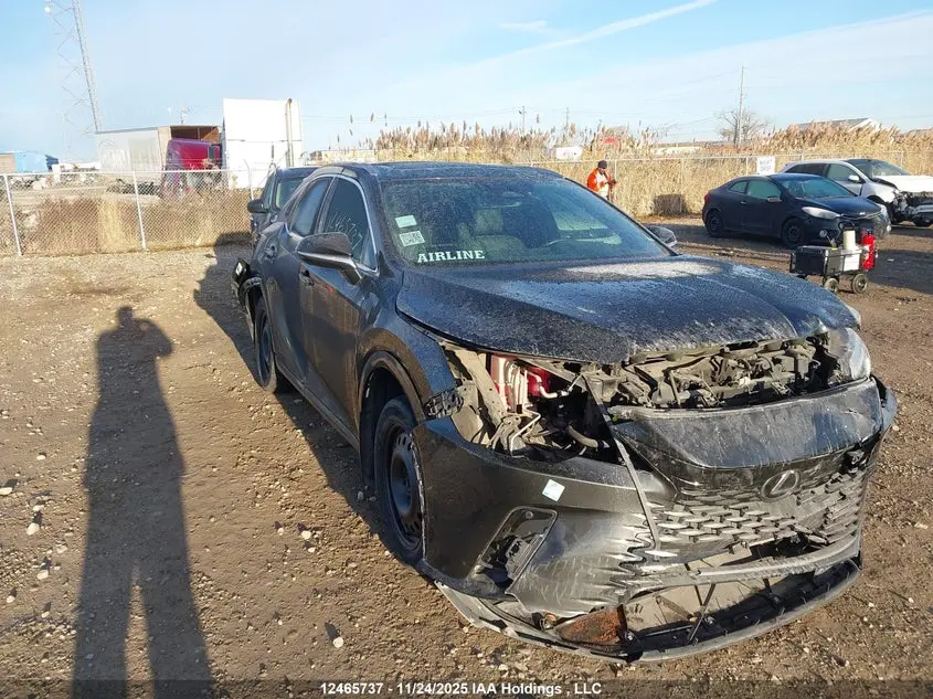 Lexus Rx 350H Base/350H Premium/350H Premium Plus/350H Luxury 2024