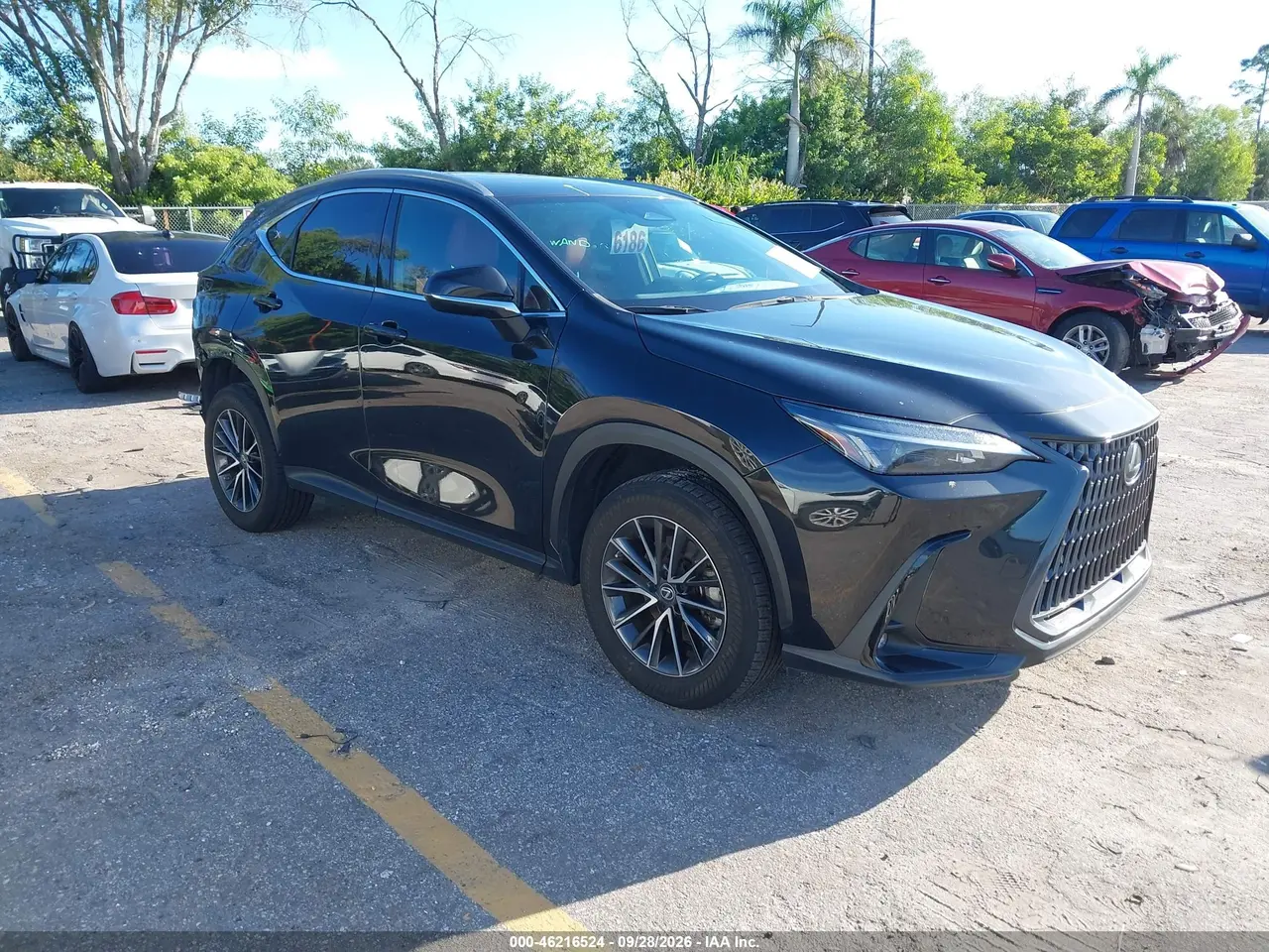 Lexus Nx 350 Premium 2023