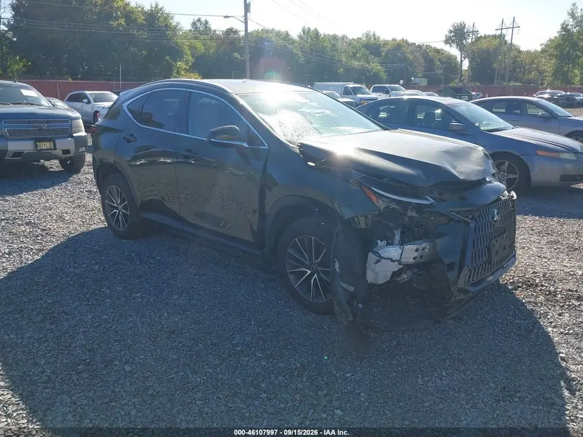 Lexus Nx 350 Premium 2023