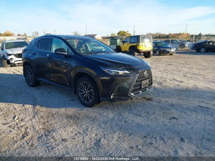 Lexus Nx 350 Premium 2025