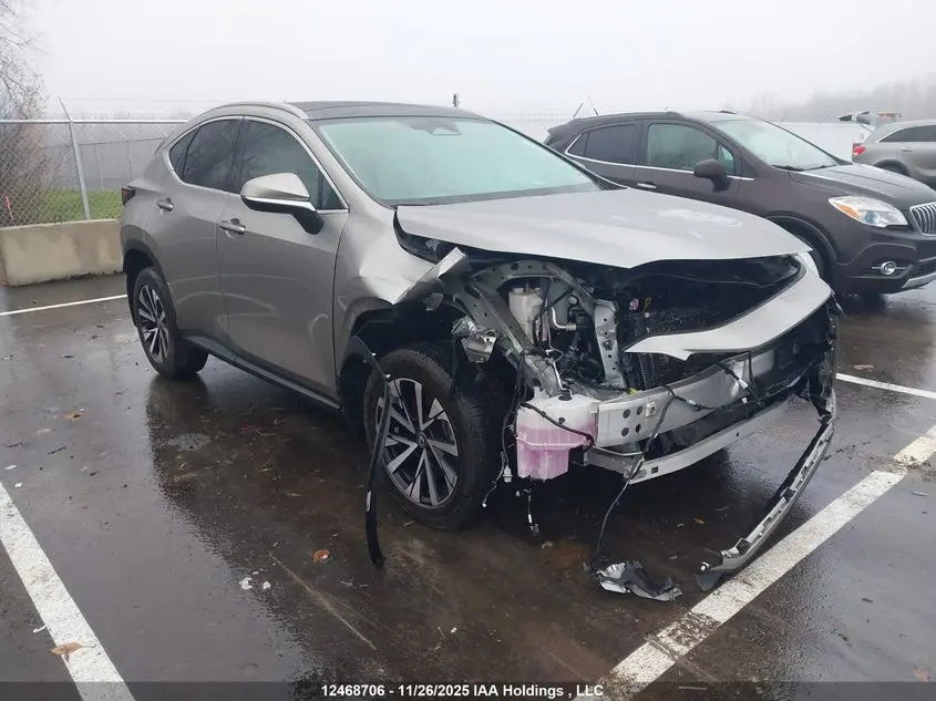 Lexus Nx 350 2023
