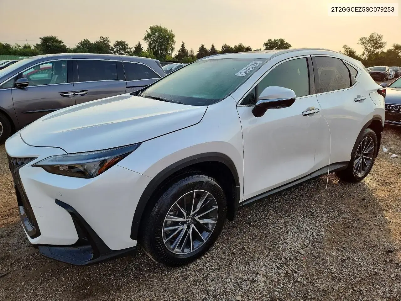 Lexus Nx 350 Premium 2025