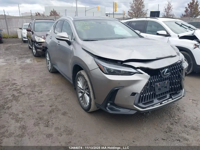 Lexus Nx 350 2023