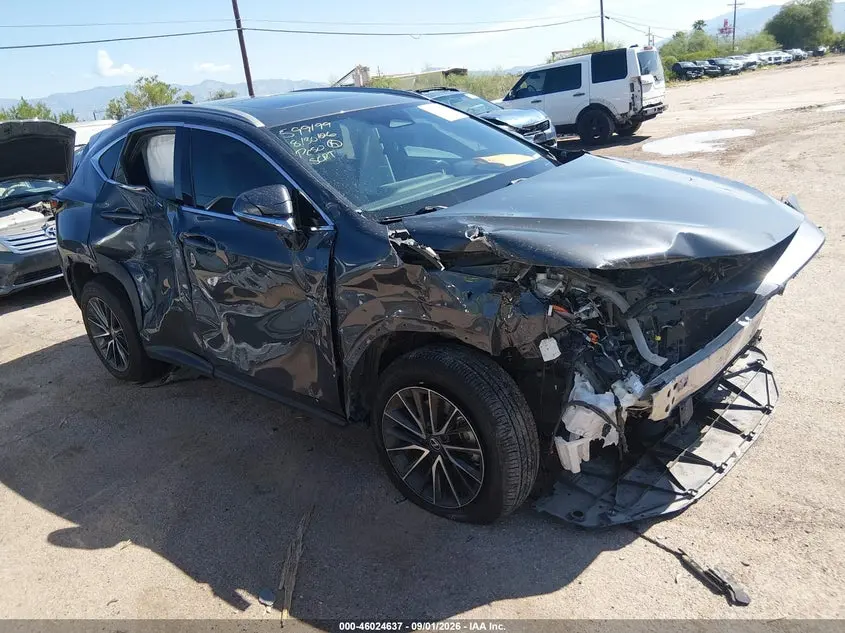 Lexus Nx 350 Premium 2024