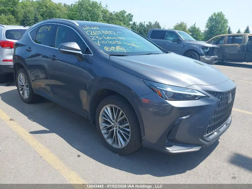 Lexus Nx 350H 350H 2023