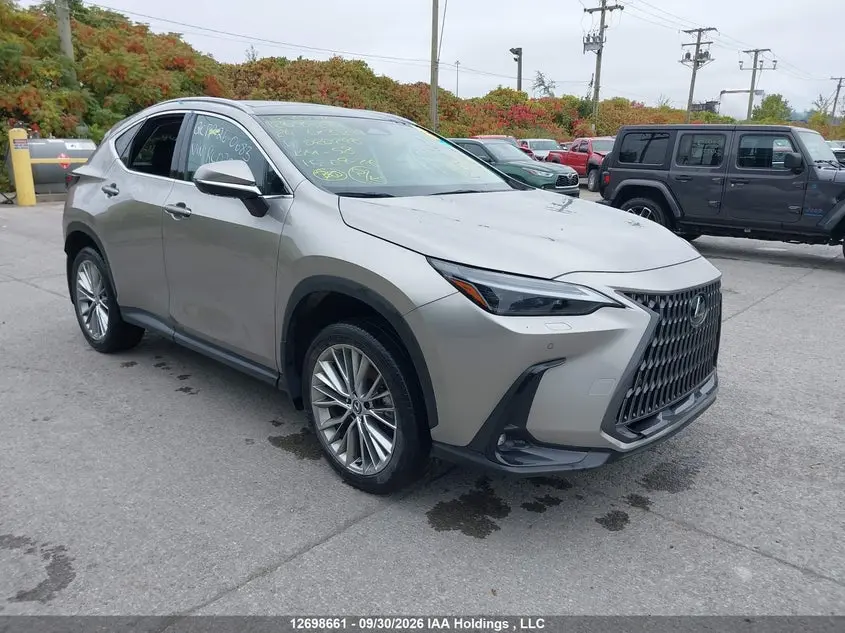 Lexus Nx 350H 350H 2024