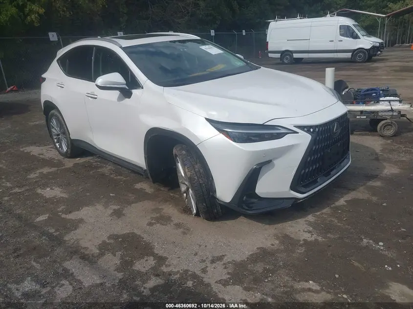 Lexus Nx 350H Premium 2025
