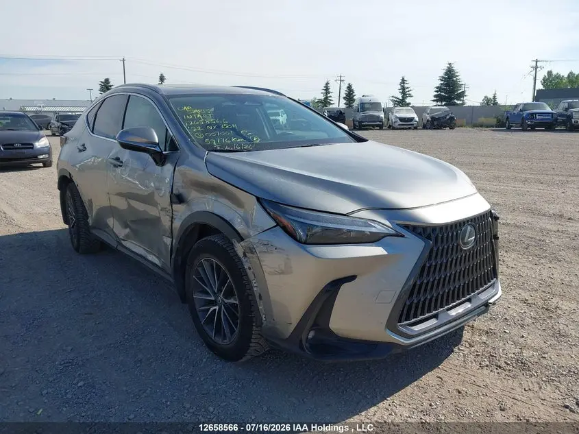 Lexus Nx 350H 350H 2022