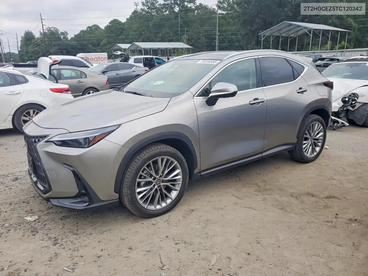 Lexus Nx 350 Luxury 2026