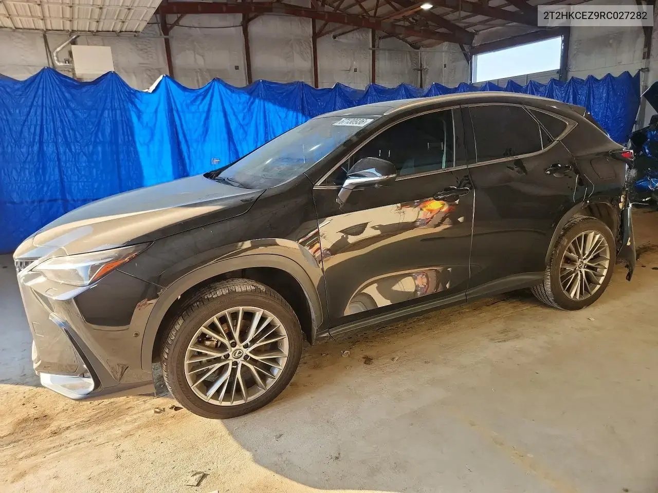 Lexus Nx 350H Luxury 2024