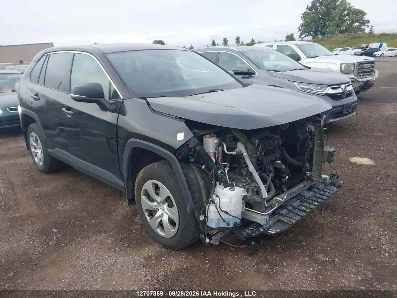 Toyota Rav4 Le 2022