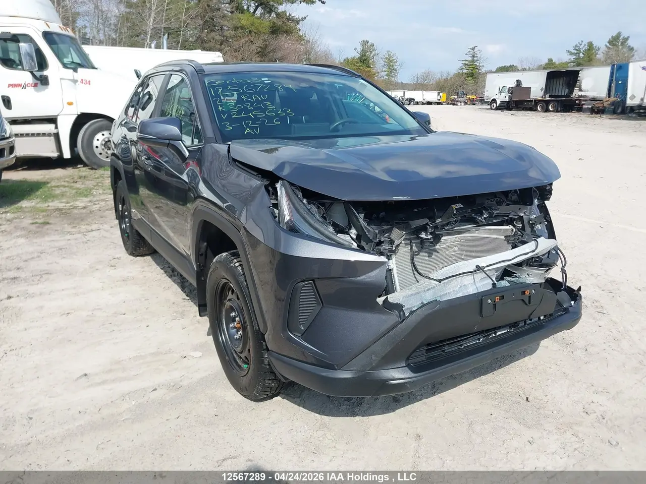 Toyota Rav4 Hybrid Le 2024