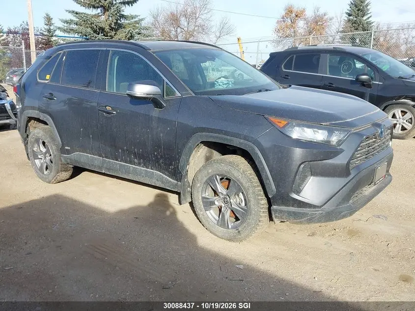 Toyota Rav4 Le 2024