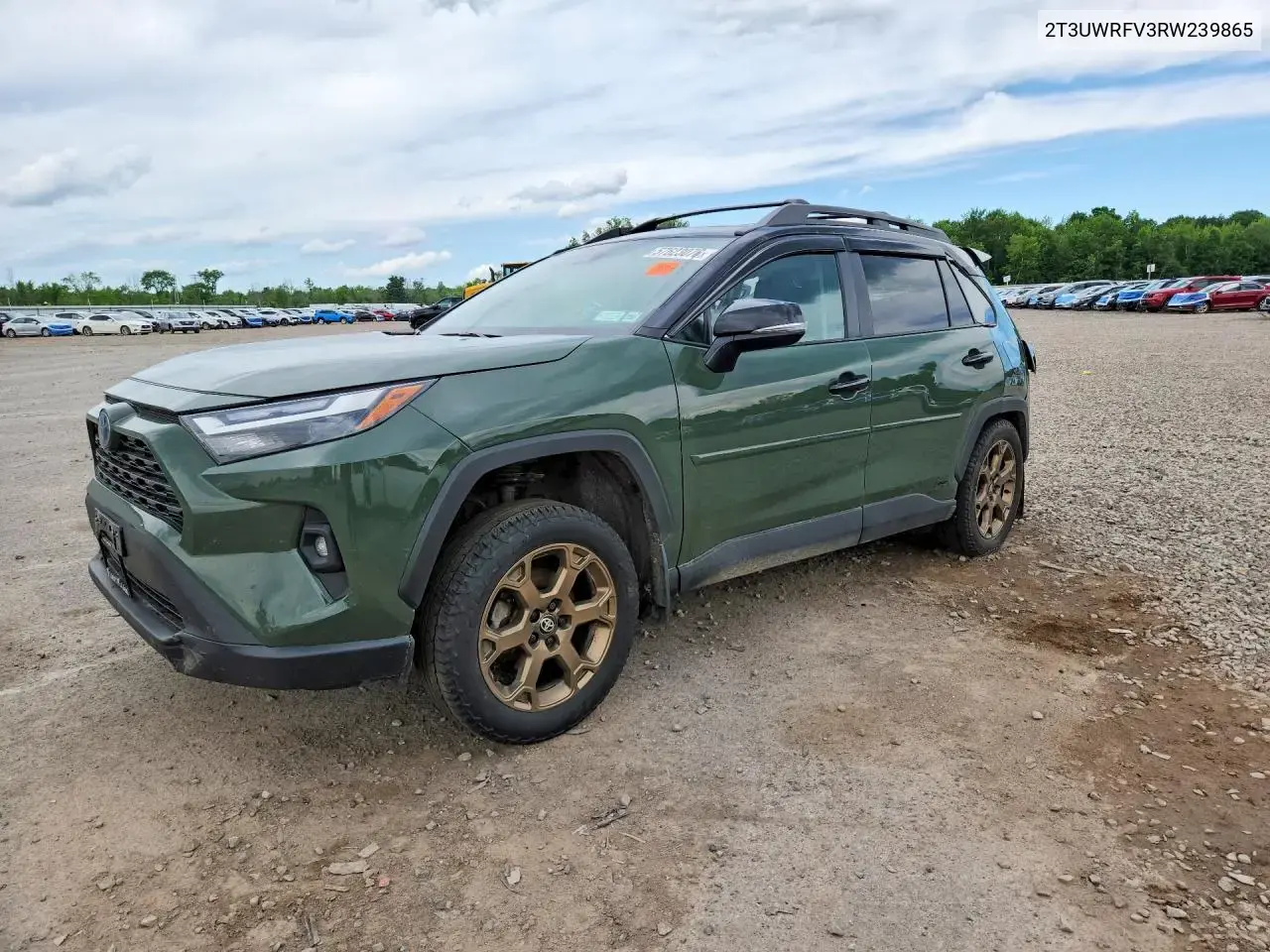 Toyota Rav4 Woodland Edition 2024