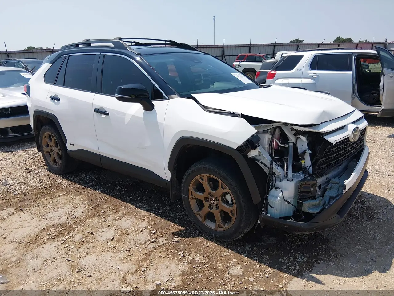 Toyota Rav4 Hybrid Woodland Edition 2024