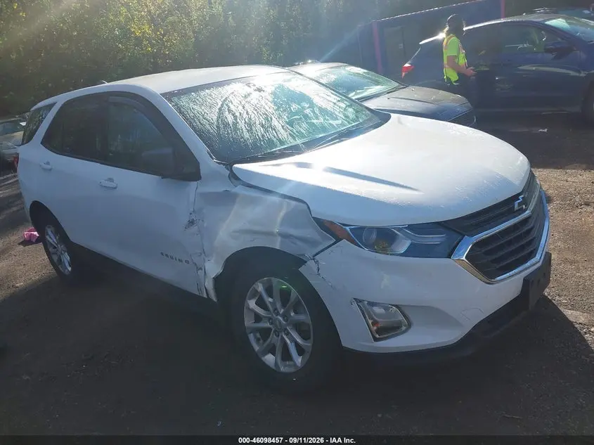 Chevrolet Equinox Ls 2019
