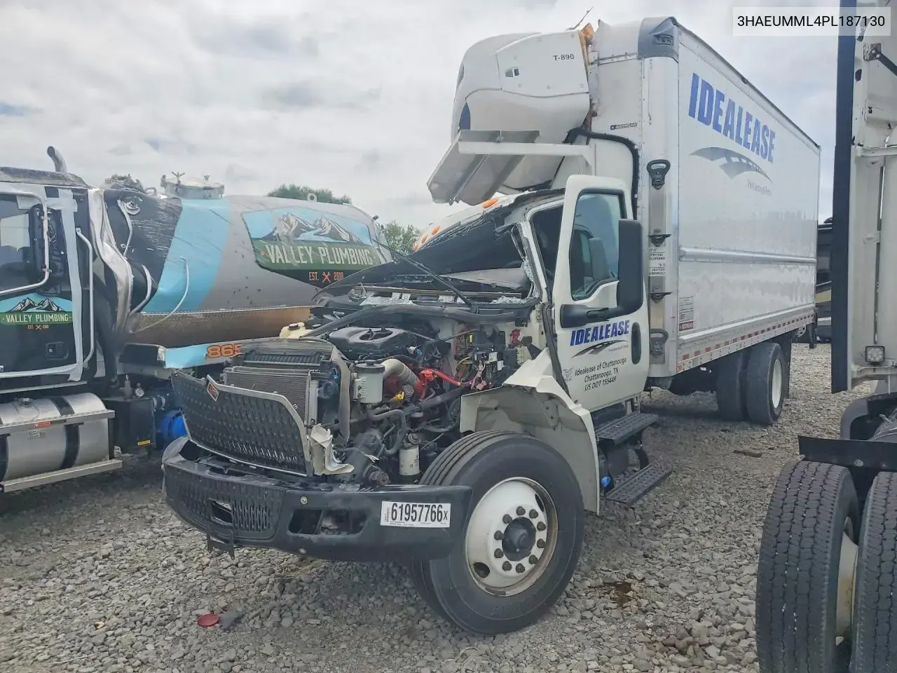 International Mv607 Refrigerated Box Truck 2023