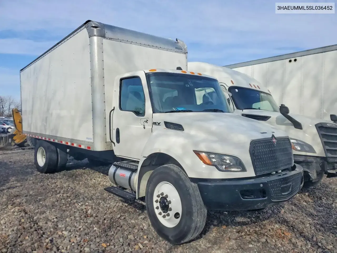 International Mv607 Box Truck 2025