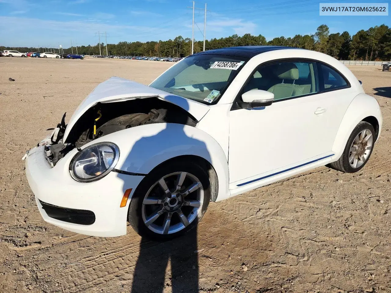 Volkswagen Beetle Se 2016