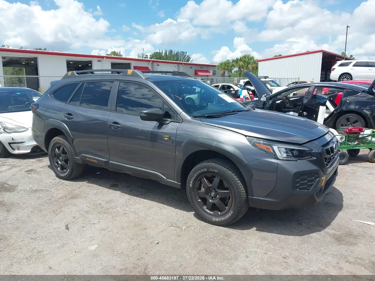 Subaru Outback Wilderness 2024