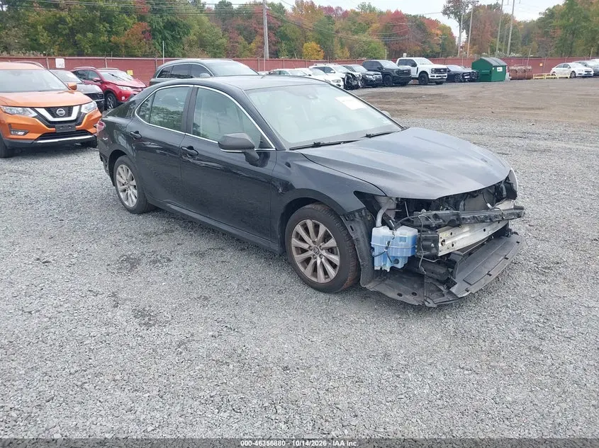 Toyota Camry Le 2019