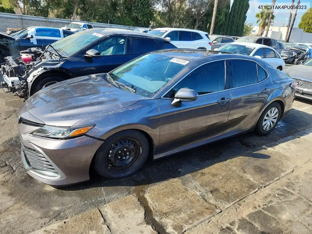 Toyota Camry Le 2023