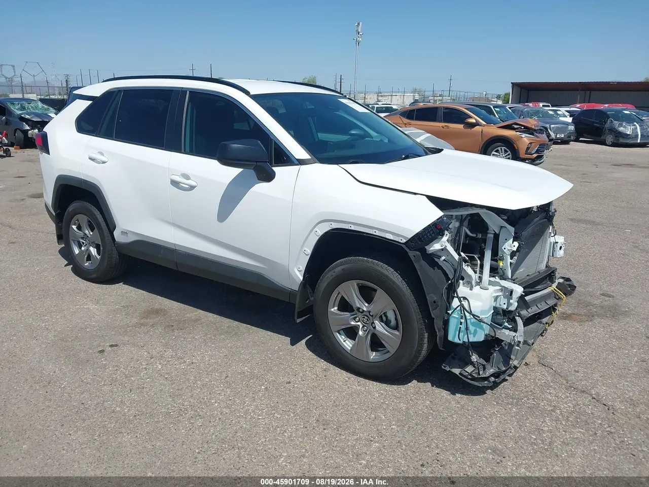 Toyota Rav4 Hybrid Le 2024