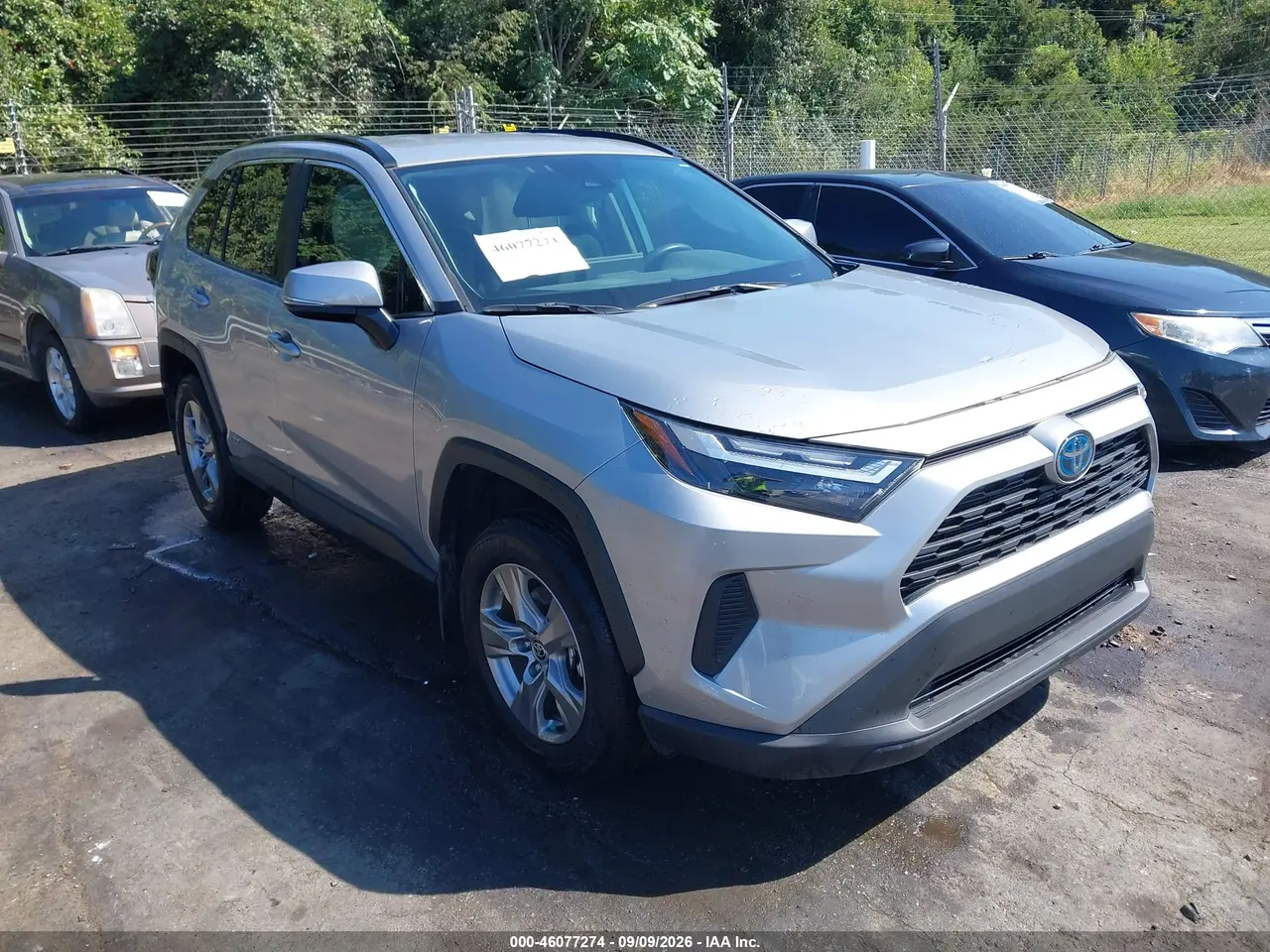 Toyota Rav4 Hybrid Xle 2024